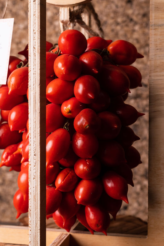 Pomodorino del piennolo del Vesuvio D.O.P.