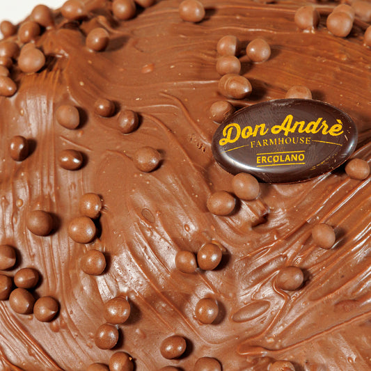 Panettone Artigianale Cioccolato