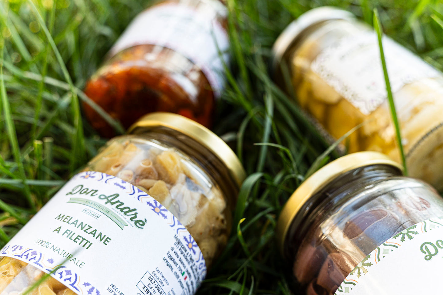 Melanzana sott’olio