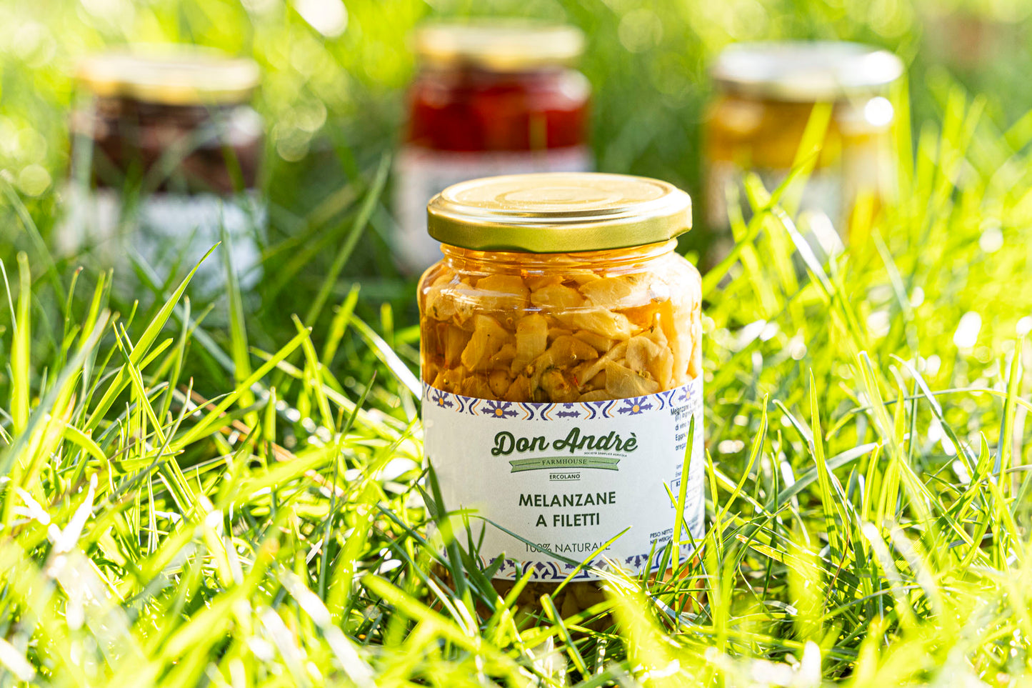 Melanzana sott’olio